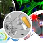 BPNLAB